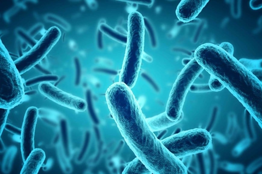 Se activaron los protocolos de limpieza y búsqueda de posibles contagios.