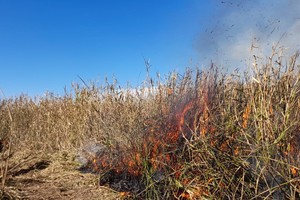 delta quema pastizales