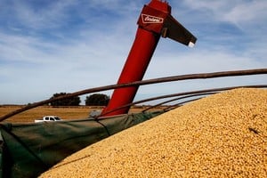 En 2020, $2 de cada $3 pesos en valor agregado que generó la industria santafesina correspondieron a manufacturas de origen agropecuario