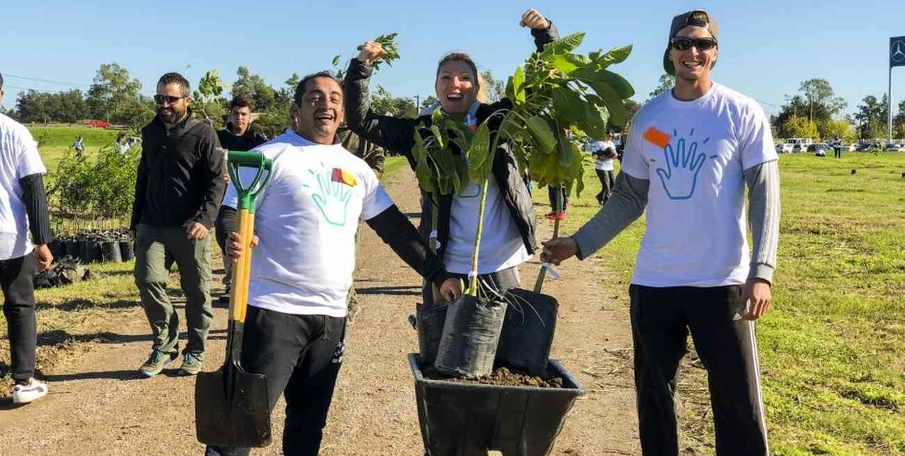 Convocan a voluntarias y voluntarios para plantar árboles en el Bosque de los Constituyentes
