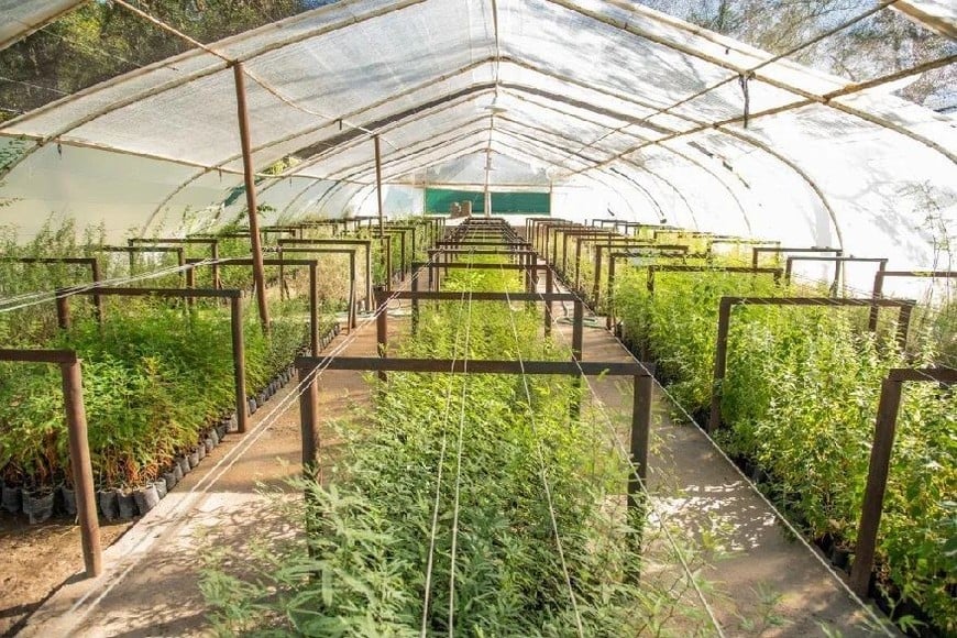 Crédito:  Gentileza