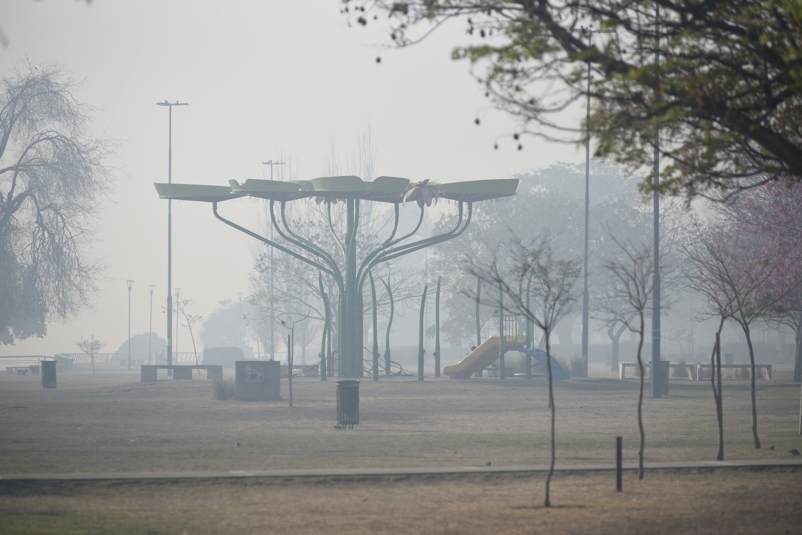 La costanera rosarina queda deshabitada por la presencia del humo.
