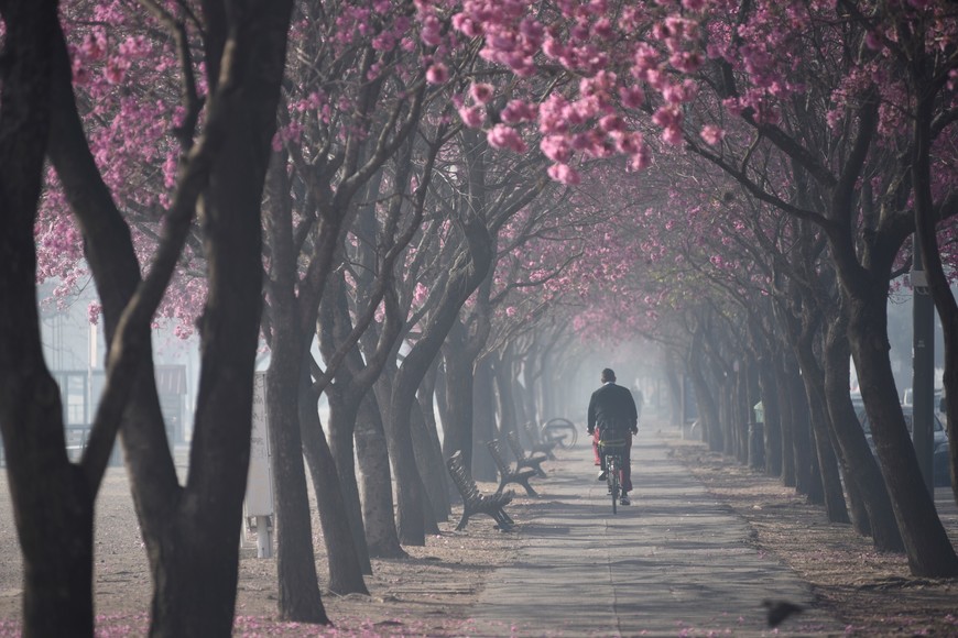 Rosario vive hace tres días con humo