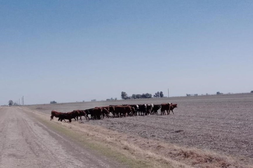 Crédito: El Litoral