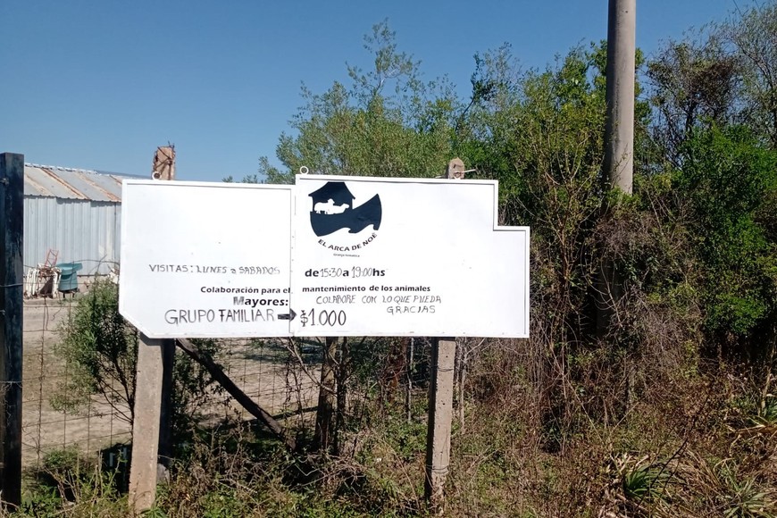 El felino fue trasladado a la granja La Esmeralda.