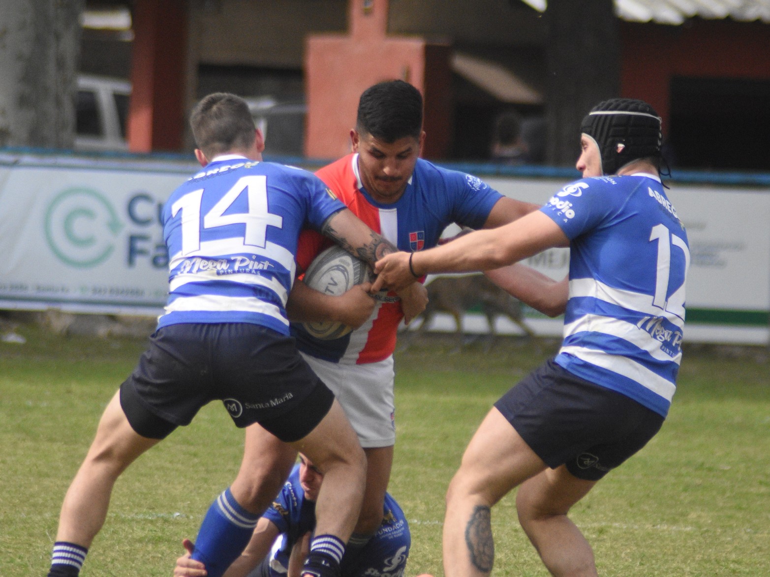 Torneo Regional del Litoral. Zona de reclasificación. La Salle le ganó 66 a 22 a CUCU (Club Universitario Concepción del Uruguay). 