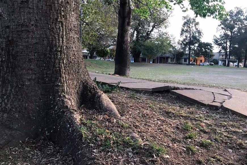 Problemas urbanos en la plaza Escalante