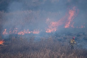 La sucesión de quemas en la zona del Delta con sus efectos devastadores sobre la flora y la fauna aceleró el reclamo por el tratamiento de la ley. Crédito: Marcelo Manera