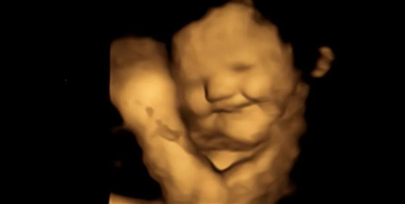 Según un estudio, el feto "sonríe" cuando la mamá come zanahorias