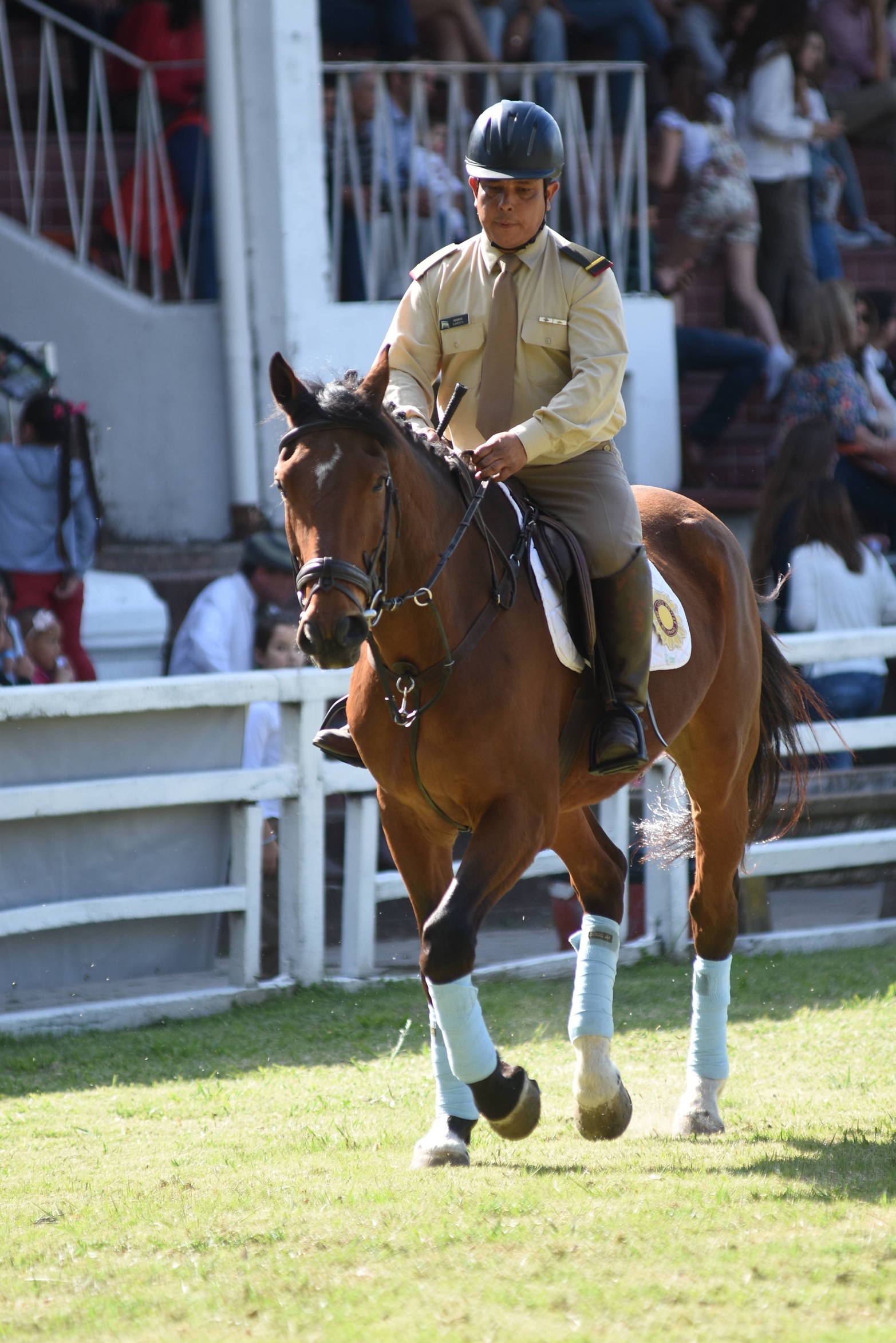 Expo caballos. Diferentes destrezas en el inicio de los festejos por los 120 años de la institución. Foto Mauricio Garín