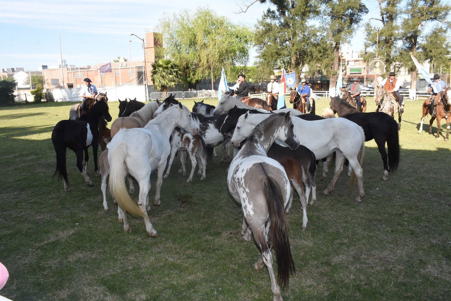Expo Caballos. Una de las tropillas que participó en el inicio de los festejos de la Sociedad Rural de Santa Fe por sus 120 años de vida.Foto Mauricio Garín