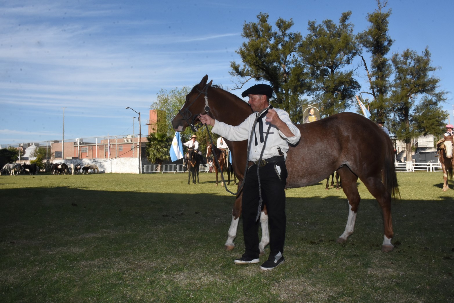 Expo Caballos. Uno de los caballos premiados. Foto Mauricio Garín