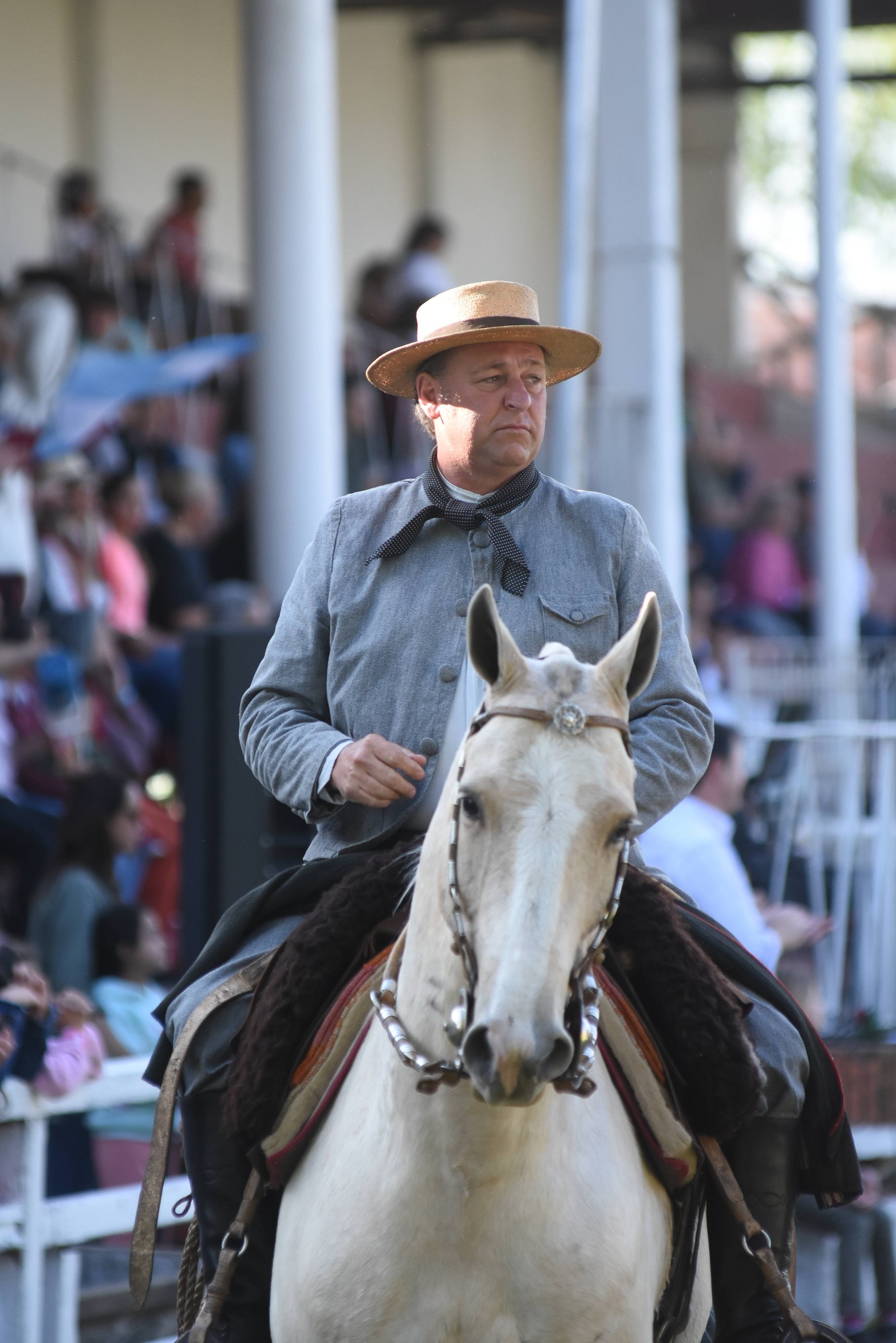 Expo caballos. Foto Mauricio Garín