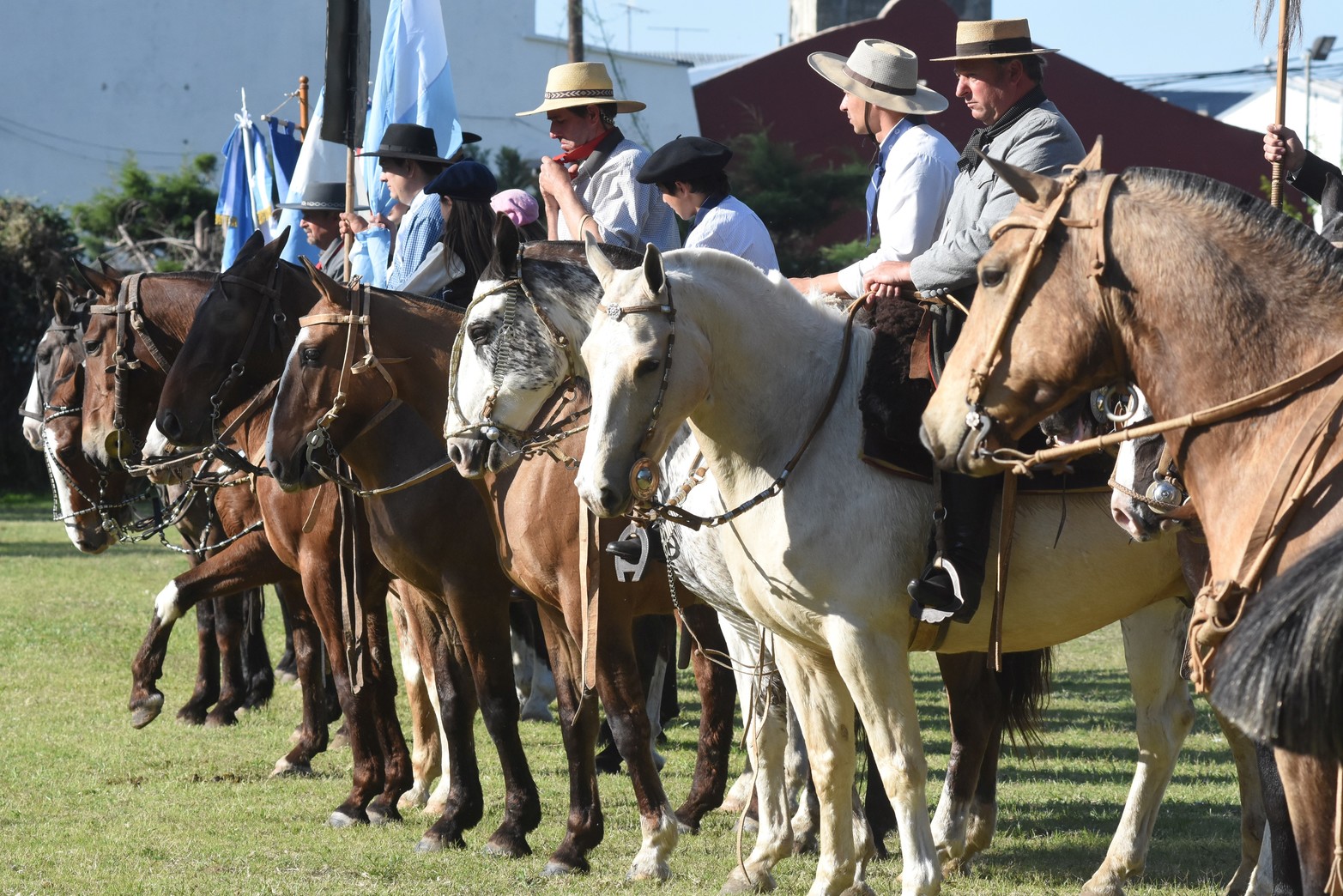 Expo Caballos. Las tropillas desfilaron por el predio de la Sociedad Rural de Santa Fe. Foto Mauricio Garín