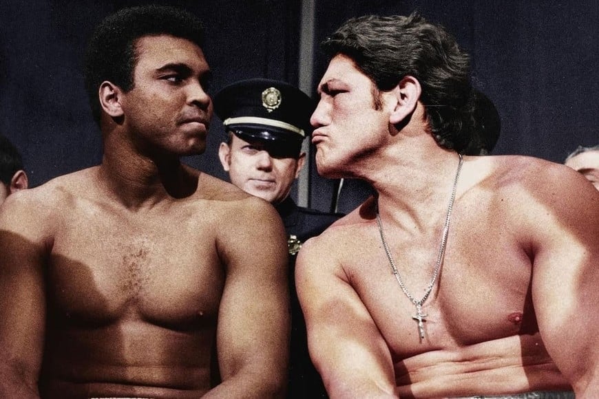 Ringo Bonavena: el "chiken-chiken" que clavó 79.3 de rating - El Litoral