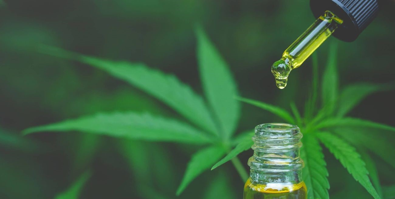 Cannabis medicinal: avances en políticas públicas

