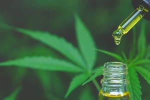 En 2021, el Laboratorio Industrial Farmacéutico santafesino (LIF) fue el primero en producir un lote de aceite de cannabis medicinal 