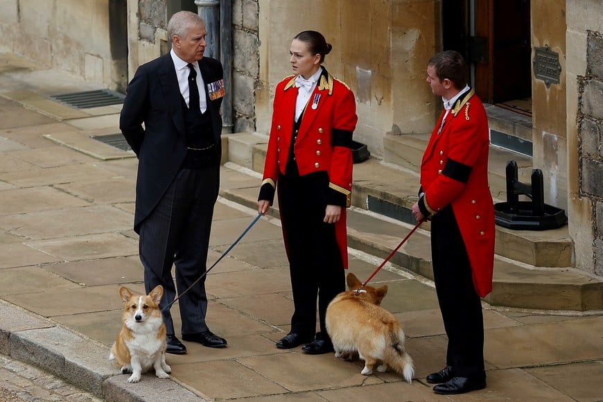 Britain's Prince Andrew with royal corgis as they await the cortege on the day of the state funeral and burial of Britain's Queen Elizabeth, at Windsor Castle in Windsor, Britain, September 19, 2022.   REUTERS/Peter Nicholls/Pool