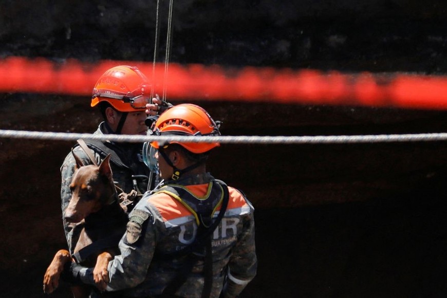 El momento en el que se rescataba a un perro. Crédito: Luis Echeverria / Reuters
