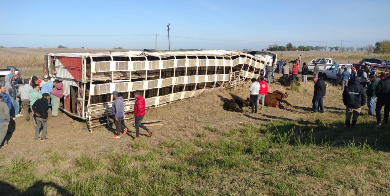 El camión volcó en el kilómetro 36 de la ruta 93, a la altura de Miguel Torres, en el departamento General López en el sur de Santa Fe.