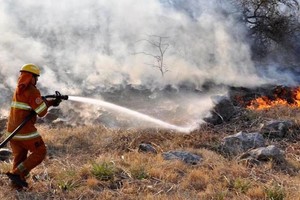 Continuaban los focos activos de incendios forestales