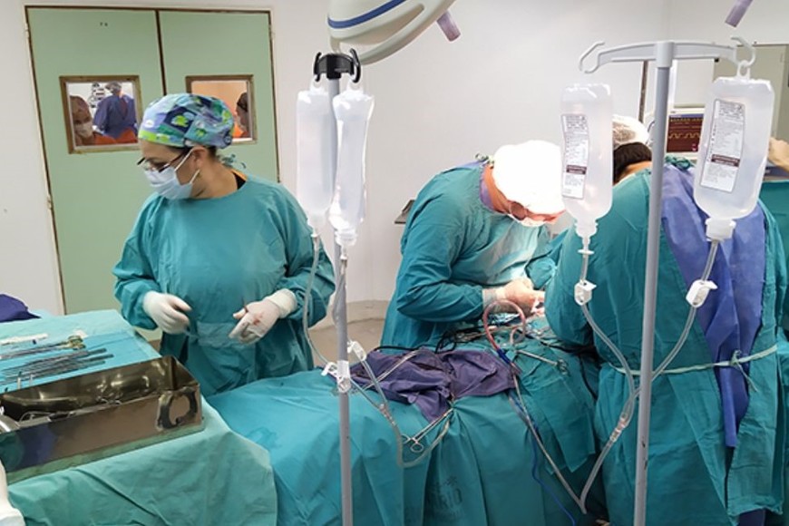 El dato surge de las estadísticas nacionales de INCUCAI