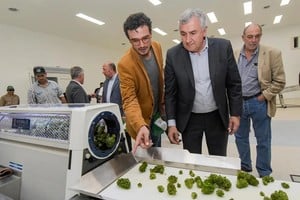 Gerardo Mortales recorre la primera planta industrial de producción y procesamiento farmacéutico de cannabis medicinal del país.  Crédito: Gobierno de Jujuy.