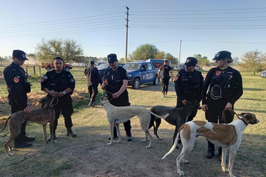 El día del operativo se secuestraron 61 galgos, los cuales fueron trasladados a Rosario a disposición de la Policía Ecológica. Crédito: Archivo El Litoral.