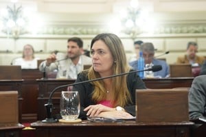 Silvana Di Stefano,  diputada provincial del Bloque UCR Evolución.