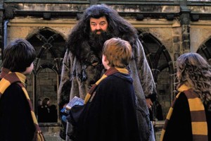 Despedida a Hagrid.