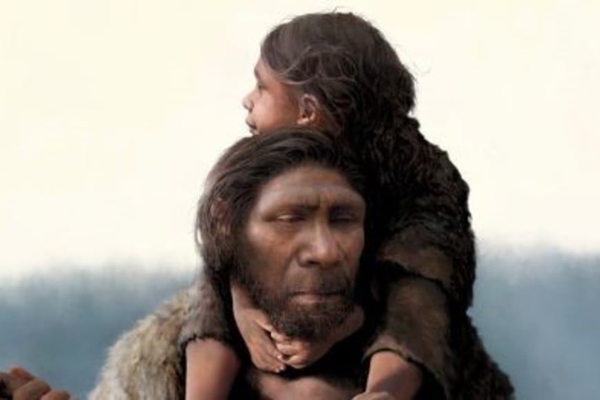 Investigaciones previas sobre otros tres bebés neandertales mostraron el mismo patrón de crecimiento acelerado.