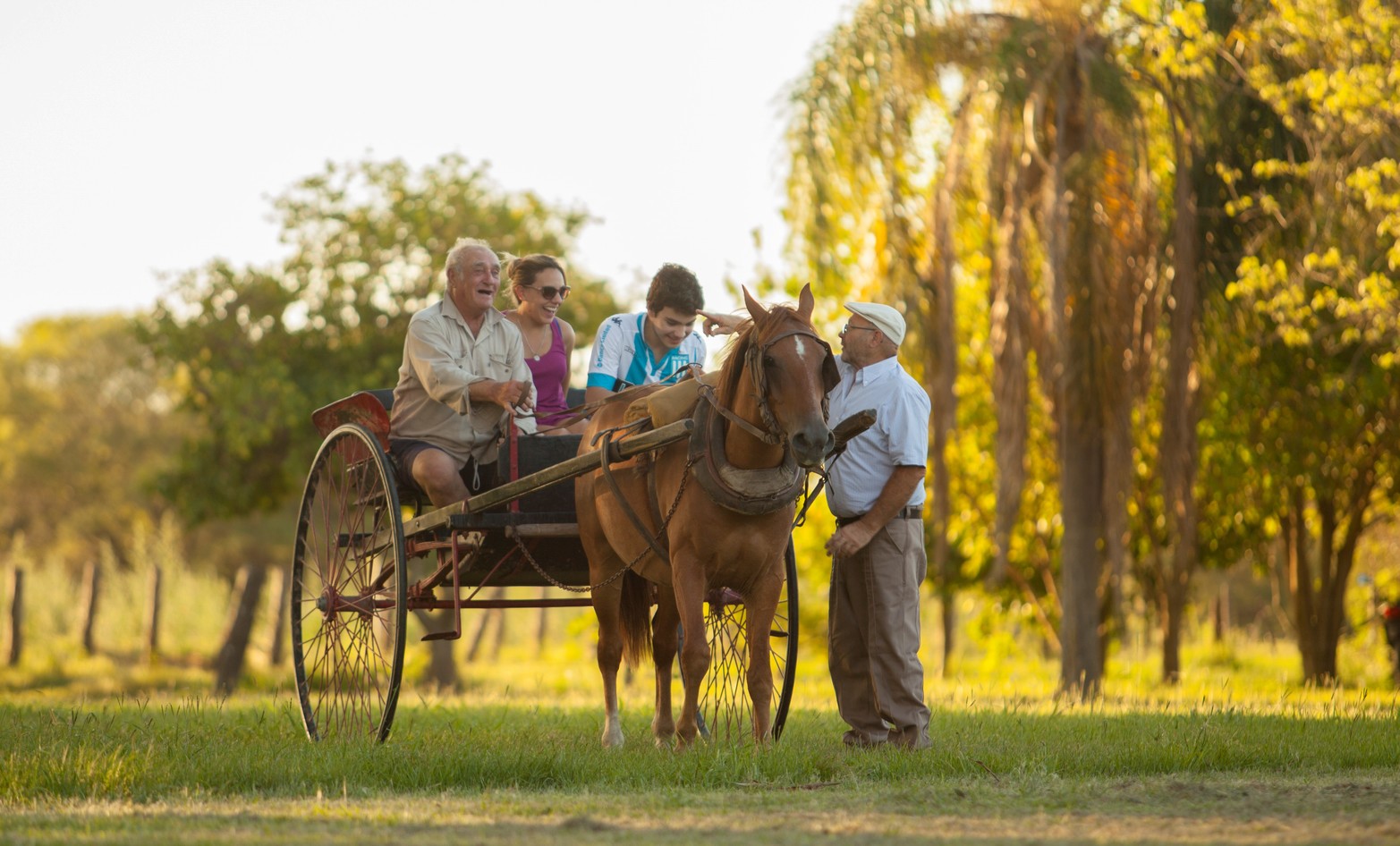 Una vuelta en sulky. Opciones del turismo rural.