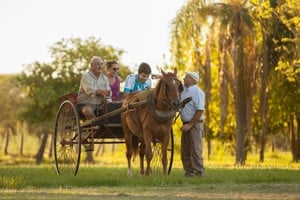 Una vuelta en sulky. Opciones del turismo rural.
