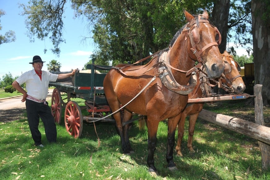 Andar en carro playero. En localidad de Presidente Roca. Desde hace años, Miguel Alassia recibe contingentes de escolares y les muestra algunos elementos que compusieron el paisaje rural de los últimos dos siglos. La chata tirada por caballos y la pulpería forman parte de su repertorio de turismo rural. Foto José Vittori turismo