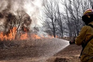 Tres provincias registran focos activos de incendios forestales.