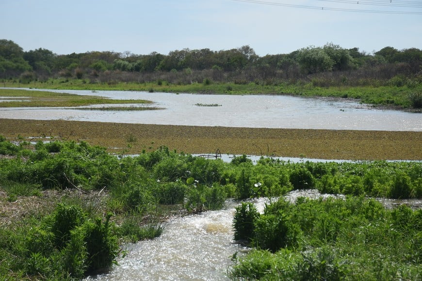 Con el repunte, vuelve el agua a las lagunas del río Paraná