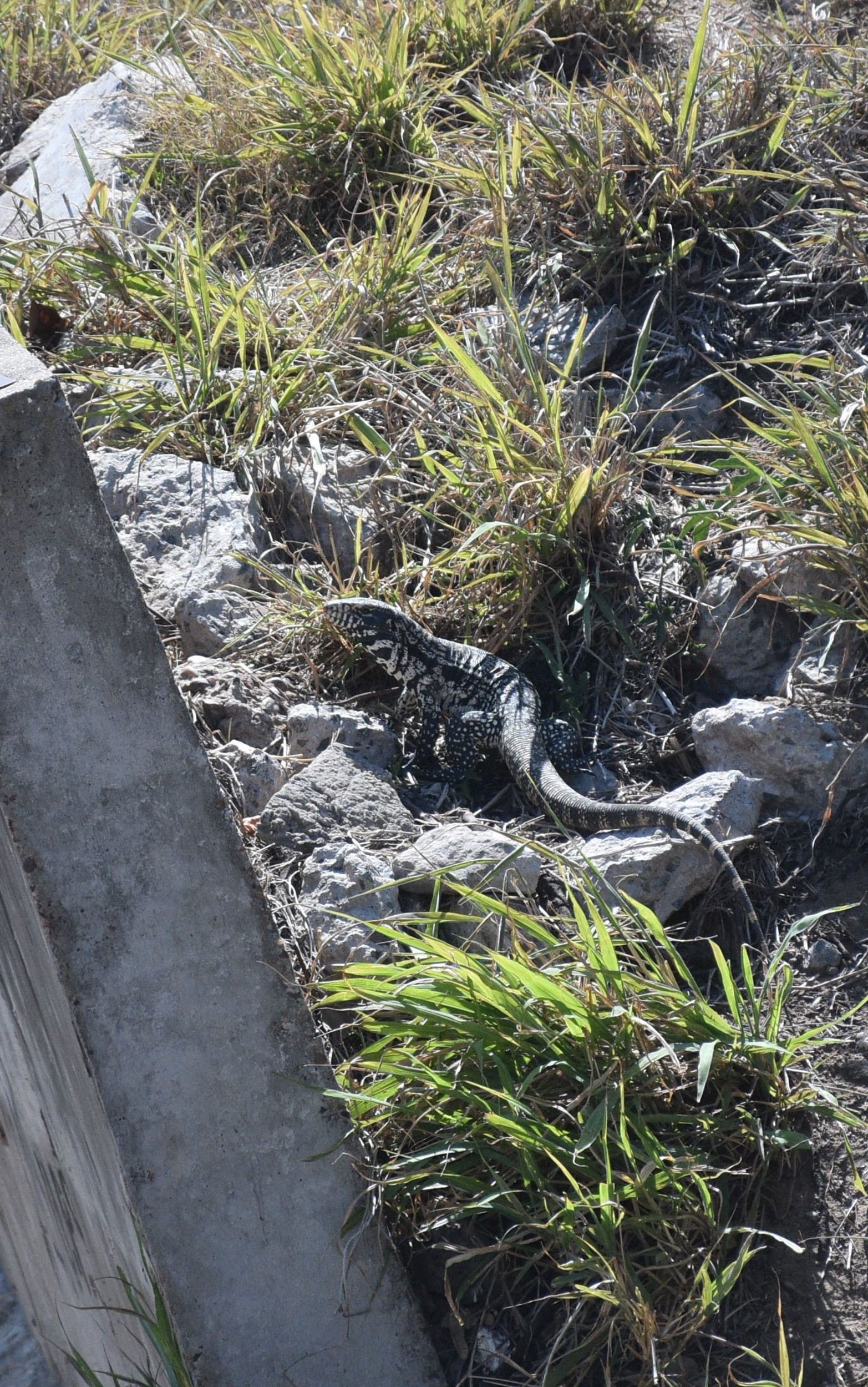 Playa y parador Paseo de la Laguna. Foto Flavio Raina