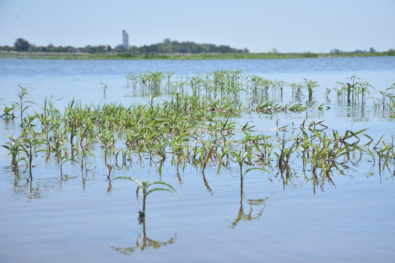 Playa y parador Paseo de la Laguna. Foto Flavio Raina