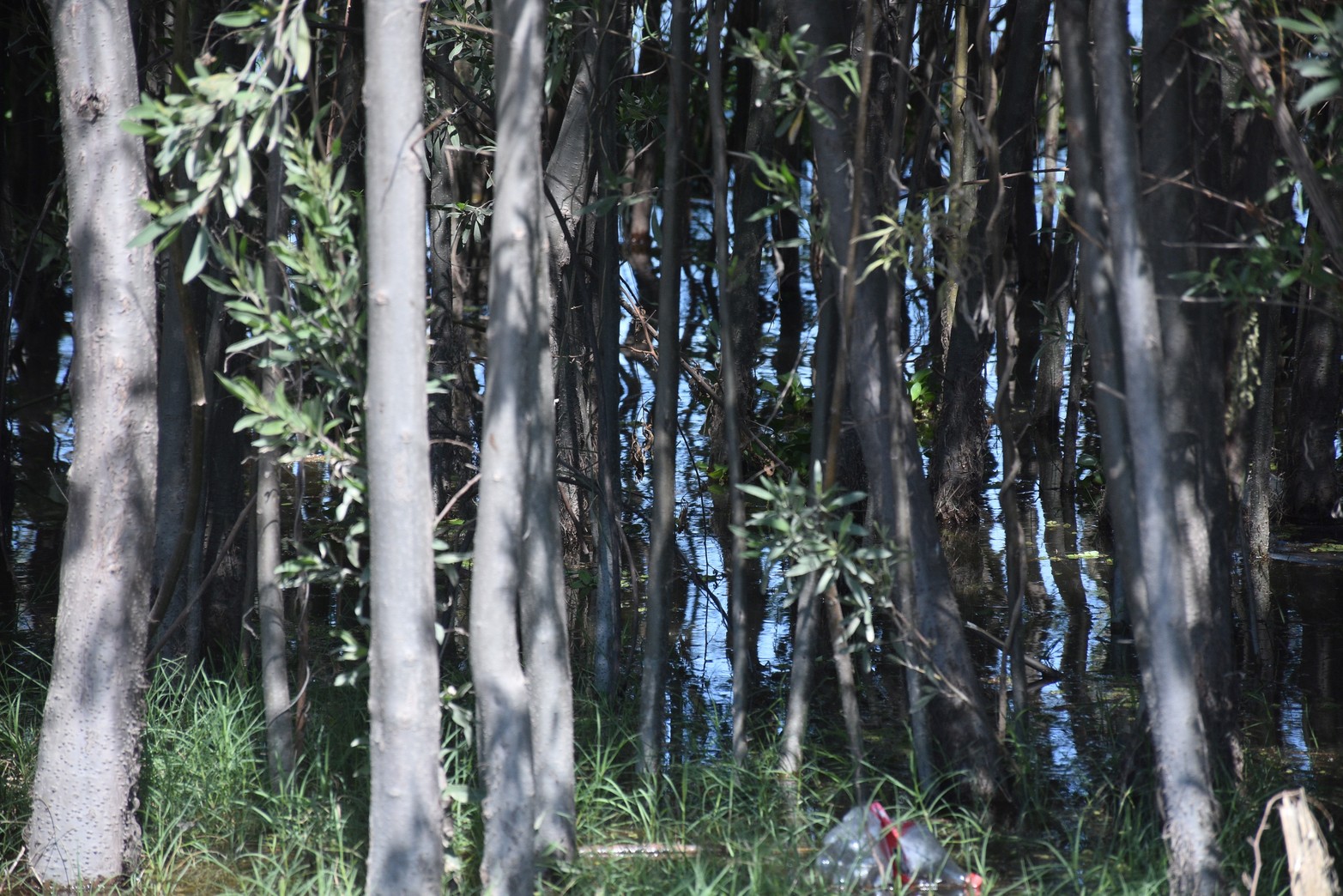 Paradores costanera este. Foto Flavio Raina