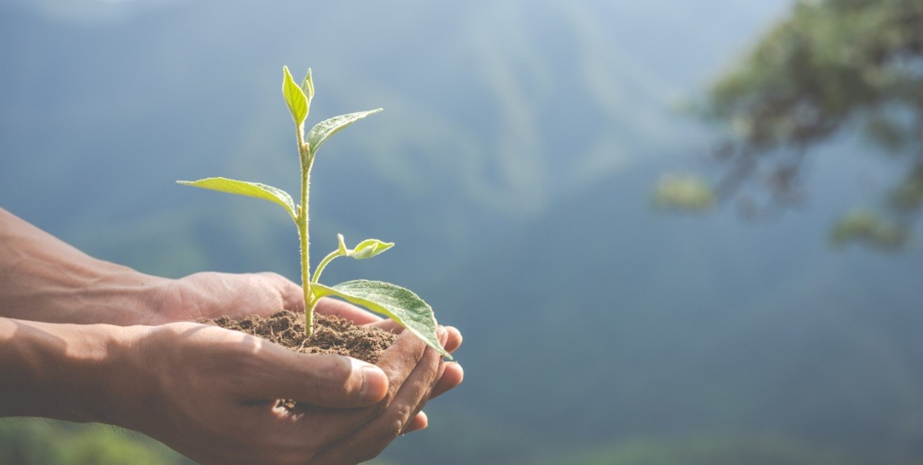 La Fundación Banco Santa Fe anuncia los siete proyectos ganadores de “Iniciativas Sustentables” 