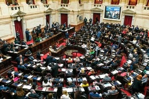 El proyecto ingresó a través de un diputado riojano. Crédito: NA