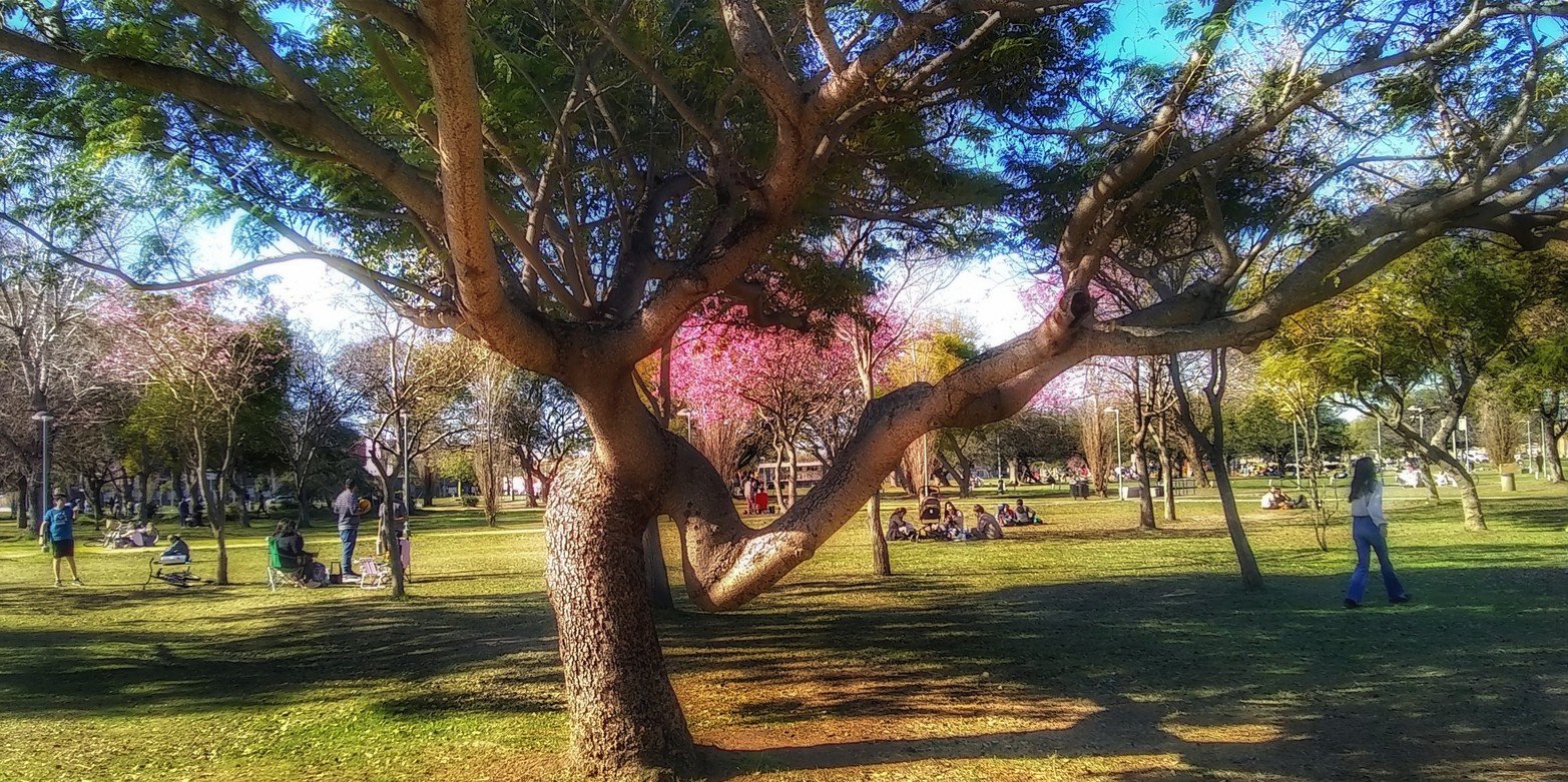 A qué jugamos hoy. Mancha congelada o a las estatuas. Foto Part, Elvira