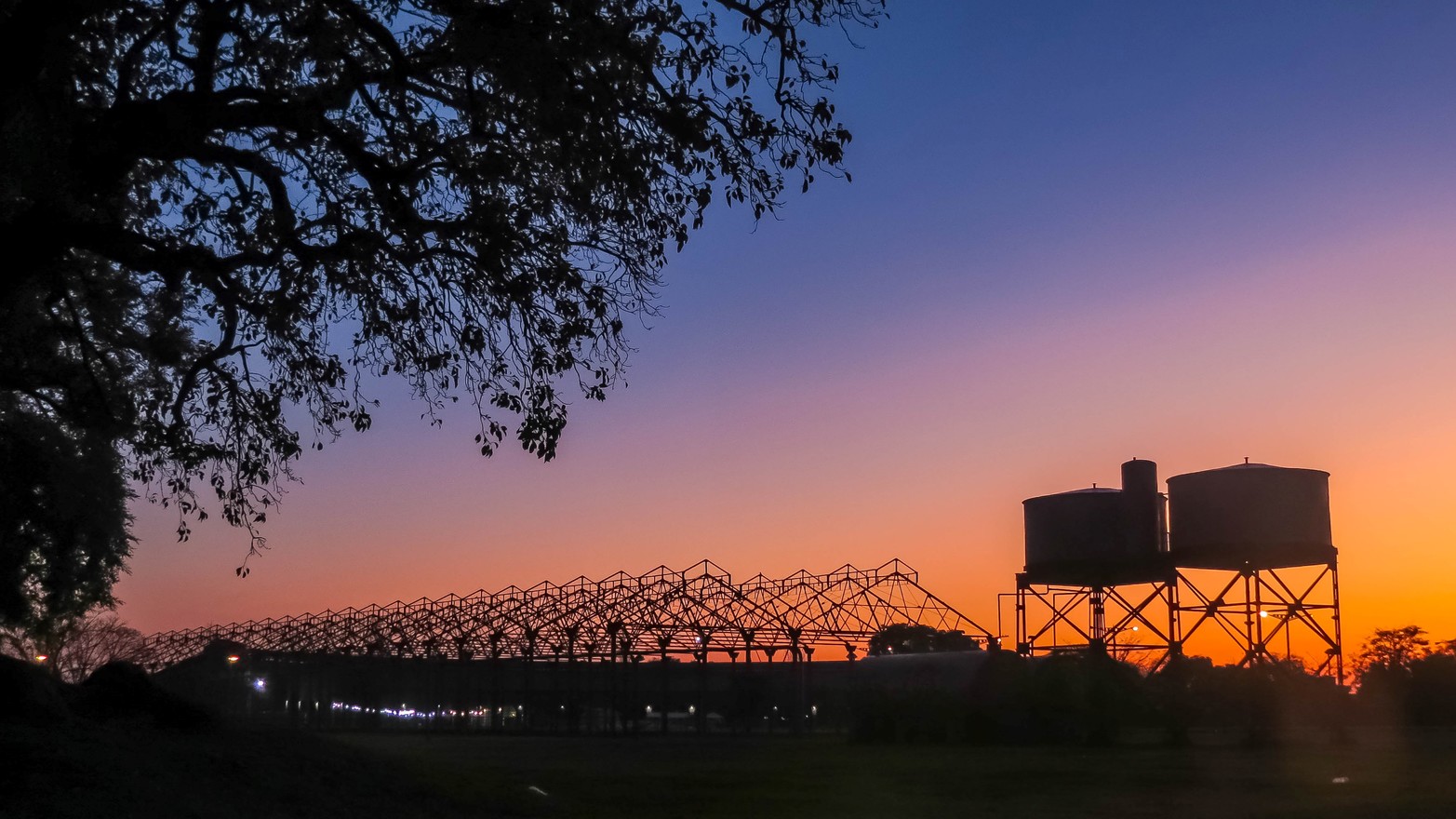 Naturaleza y metales. Foto Bertolini,Natalia