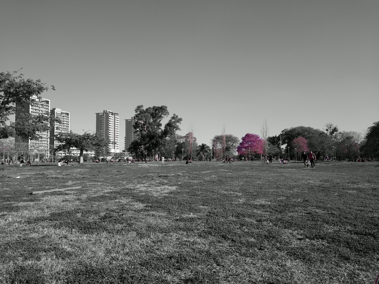 Primavera en el Parque Federal. Foto Leandro Bertola