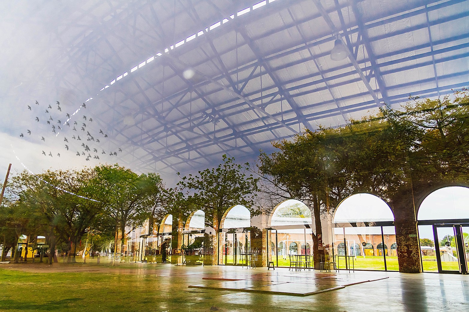 Reflejos 1. Foto Bertolini, Juan Francisco