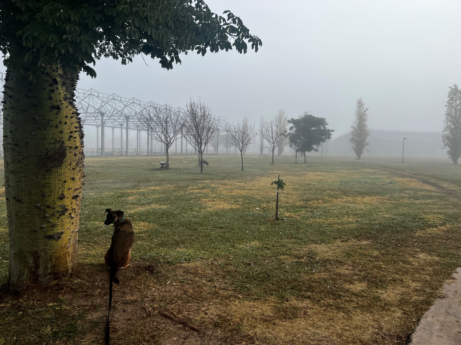 Imagen. Foto Januszkiewicz, Jesica