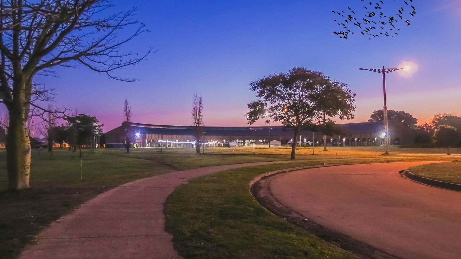 Curvas. Foto Dreher, Roxana