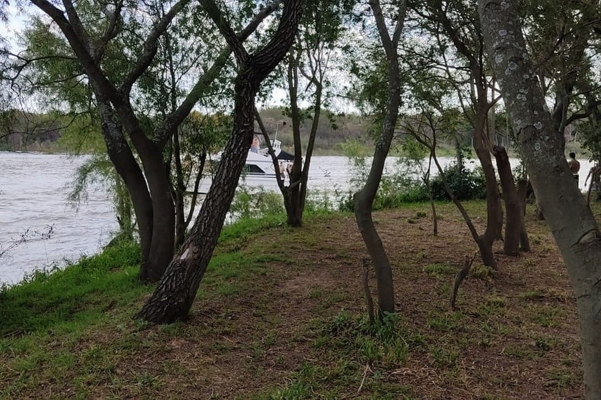 Era un día de descanso en familia en la isla, hasta que aparecieron los organizadores de la fiesta. Gentileza. A. Peresini.