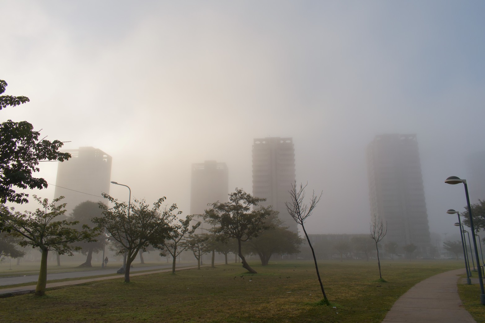 Los gigantes del Parque. Foto Calanchini, Priscila -