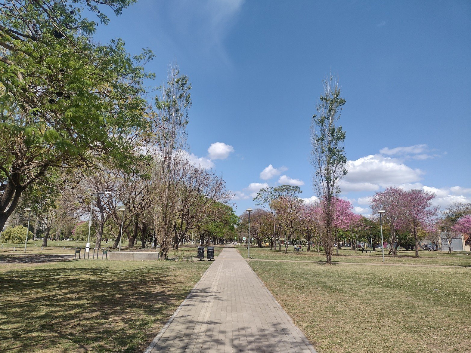 Punto de fuga. Foto : Albornoz, Daniela